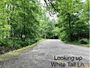 L30 White Tail Ln