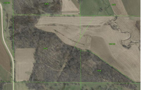 TBD 50.2 ACRES S Ridge Rd