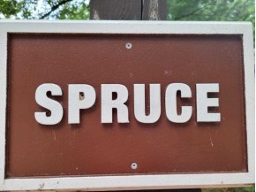 11 Spruce Tr