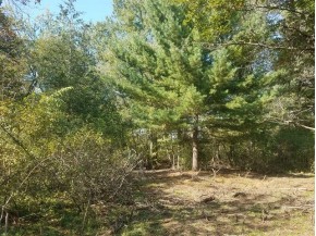 47.72 AC County Road Hh