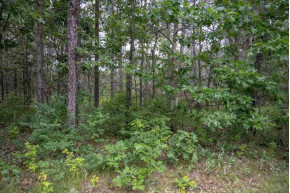 LOT 232 Woodland Tr