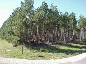 LOT 32 Mays Point Rd