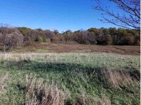 65 AC. LOT Fritz Rd