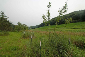 85AC County Road B