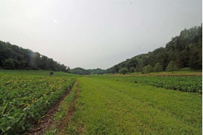 85AC County Road B