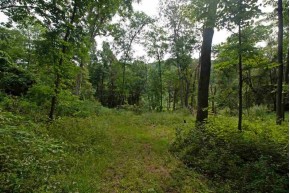 85AC County Road B