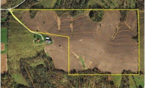 54+/- ACRES Michaels Dr