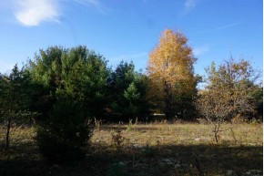 1.00 AC County Road H