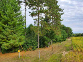 29.94 AC North Rd