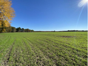 40 AC N County Road C