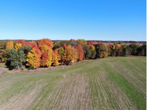 40 AC N County Road C