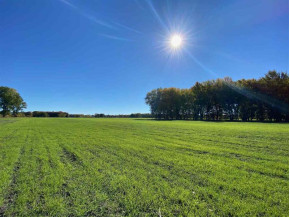 40 AC County Road C