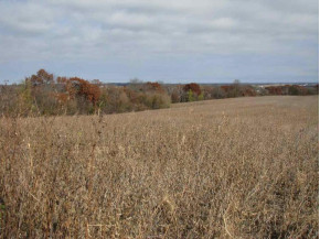 40 AC County Road E