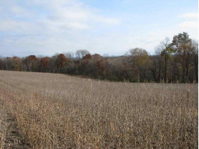 40 AC County Road E