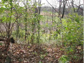 40 AC County Road E