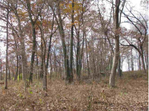 40 AC County Road E