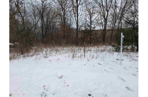 .25 ACRE County Road M, New Lisbon, WI 53950