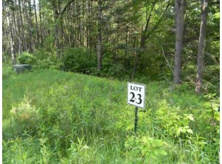 L23 Deer Run Ridge Wisconsin Dells, WI 53965
