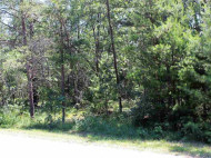 LOT 345 N Cypress Ln