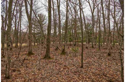 5.34 ACRES Trout Rd, Wisconsin Dells, WI 53965