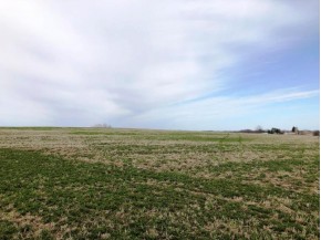 6.5+/- AC AT 0 County Road T