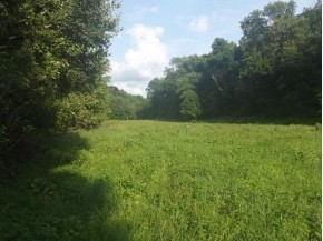 48+/- ACRES Farmers Ridge Rd