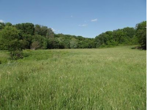 48+/- ACRES Farmers Ridge Rd