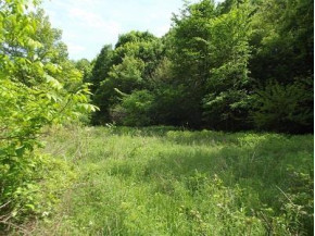 48+/- ACRES Farmers Ridge Rd