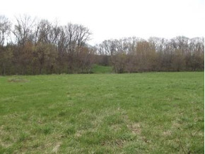 48+/- ACRES Farmers Ridge Rd