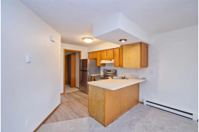 530 E Hiawatha Dr 203