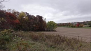 4226 Vilas Rd (40 Acres)