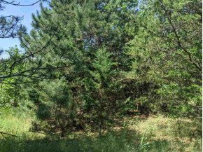 LOT 47 N Gale Dr