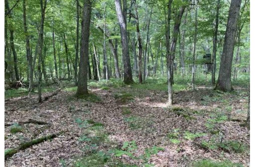 LOT 2 Berry Rd, Wisconsin Dells, WI 53965