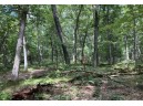 LOT 2 Berry Rd, Wisconsin Dells, WI 53965