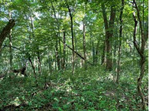 14.14 AC Smock Valley Rd