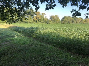 3.87 AC Lowville Rd