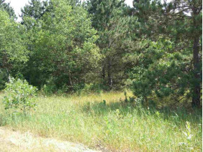 LOT 32 Beaver Creek Rd