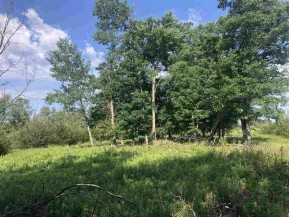 220+/- ACRES Cottonville Ln