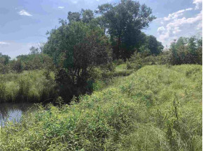 220+/- ACRES Cottonville Ln