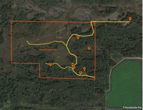 220+/- ACRES Cottonville Ln