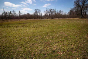 220+/- ACRES Cottonville Ln