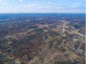 220+/- ACRES Cottonville Ln