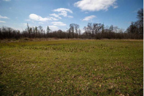 220+/- ACRES Cottonville Ln