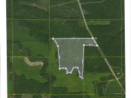 25 ACRES Birchwood Rd