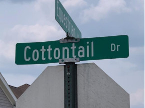 L131 Cottontail Dr