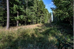 LOT 1 Germantown Rd