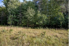 LOT 1 Germantown Rd