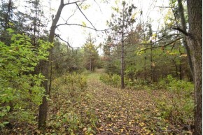 LOT 2 Hillcrest Dr