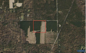 40 AC 35th St