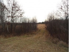 60 AC Grosbeak Ave